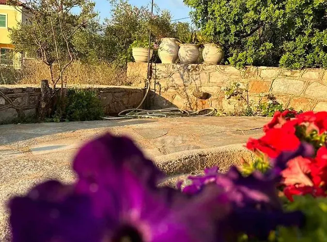 σελήνη Lejlighed